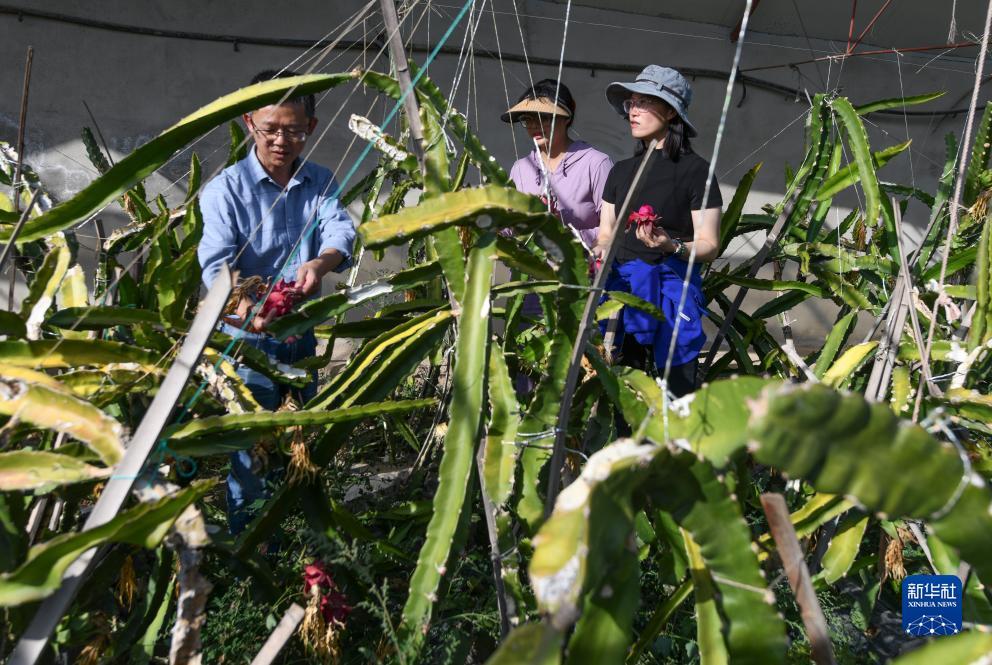 新捕鱼游戏机